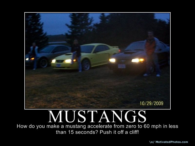 Funny Mustang Pics This is my take on mustangs.