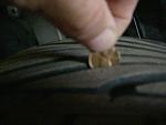 ADVAN TCII - Gold  Plus extra wheel-dscn2571.jpg