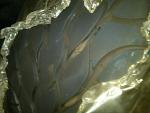 **BFGoodrich KDWII Tires 255/35/19 &amp; 275/35/19**-img00104-20100720-1619.jpg