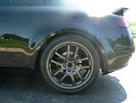 Gunmetal OEM Rays-3.jpg