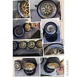 Ssr ms1 proffesor 19"-image.jpg