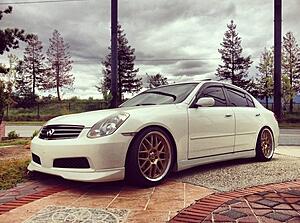 Volks SF Winnings Gold-rk0teh2l.jpg