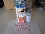 Pro Touch Paint for WV2 DG/Silverstone-041.jpg