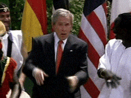 Name:  w9JGEM3.gif
Views: 16
Size:  1.57 MB
