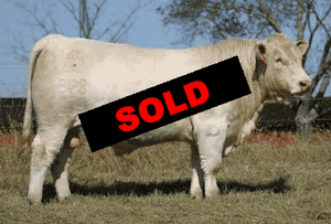 OEM Engine Cover-udpc8gh.gif