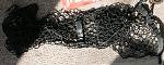f/s: 2003 g35 coupe trunk net-img_5540.jpg