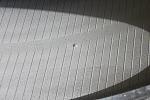 Pair of 305/30/19 Bridgestone Potenza-tire4.jpg