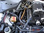 HKS Twin Power DLII w/G35 Harness-dsc00026.jpg