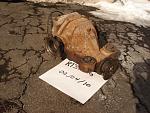 3.3 Open Differential-resized_dsc06485.jpg