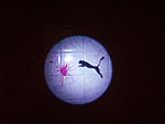 Non-car related. GTA "PUMA" Lovers: PUMA projection keychain flash light-imgp0218.jpg