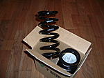 FS: Tein Flex 100 kg (560 lb) Springs, 1 pair for fronts-dscf0315.jpg