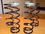 F/S 2005 Revised 350Z Springs-dsc00274.jpg