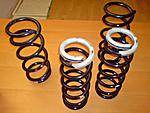 F/S 2005 Revised 350Z Springs-dsc00275.jpg