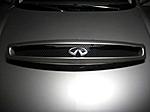 FS:Coupe DG Data System Grill-img_1268.jpg