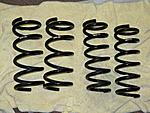 FS: Tokico d-spec, RSR spring, camber kit and sway bars-rsr_spring2.jpg