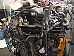 Borla cat + Borla headers any one? low milage engine?-mr.-vo-094.jpg