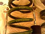 FS: Tein Basic Coilover Suspension-021708_0313.jpg