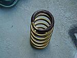 ________________WTB: 350z Tein H-Techs__________-tein-lux-lowering-springs-top.jpg