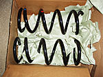 FS 2008 350Z springs w/only 3k mi.-2008zrear.jpg