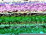 N1-135238546bairjt_ph.jpg