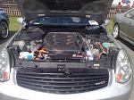 DIY blacked-out grille w/ pics-10052009771.jpg