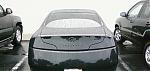 DIY blacked-out grille w/ pics-back.jpg