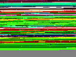 Racing Brake's guinea pig-mvc-001l.jpg