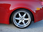 Tein Basics and SPC Camber Arms Installed-dsc01285.jpg