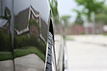 Would this look homoz?-picture-004_2_1.jpg