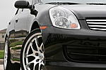 Would this look homoz?-picture-029_4_1.jpg