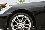 Would this look homoz?-picture-015_1_1.jpg