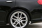 Would this look homoz?-picture-017_1_1.jpg