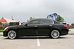 Would this look homoz?-picture-014_3_1.jpg