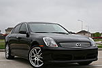 Would this look homoz?-picture-022_1_1.jpg