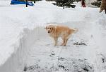 Glad I didn't wake up to see this...-pic27830.jpg