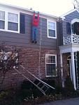 The Greatest Christmas decoration ever??-christmasdecoration.jpg