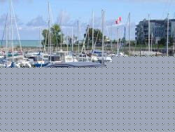 Harbor &amp; Lake Shot-car-harbor-2.jpg