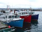 East Coast Meet-3-coloured-boats-digby.jpg