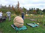 East Coast Meet-windsor-ns-pumpkin-patch-dill-farm-.jpg