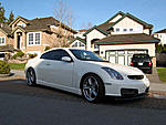 Spotted-img_0383.jpg