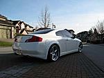 Spotted-img_0389.jpg