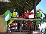 Trip to Caribbean - PICS-cruise-388.jpg