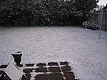 WTH?? It's snowing already?-mini-100_0043.jpg