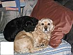 East Coast > Sunny Destination-mini-100_0036-1.jpg