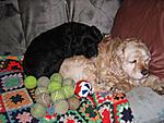Balzz's B-Day today-mini-100_0045.jpg