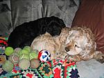 Balzz's B-Day today-mini-100_0046.jpg