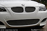 Bimmer Guys-grille-post.jpg