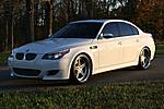 Bimmer Guys-alpine-white-m5-rdsport.jpg