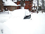 so who else...-snowkimi2_14feb2007.jpg