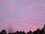 There's hope yet-mini-100_0025.jpg